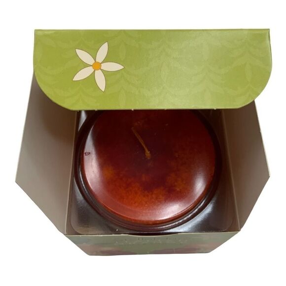 Stella Mare  Italian Orange Soy Candle New In Box Glass Holder - Picture 1 of 4